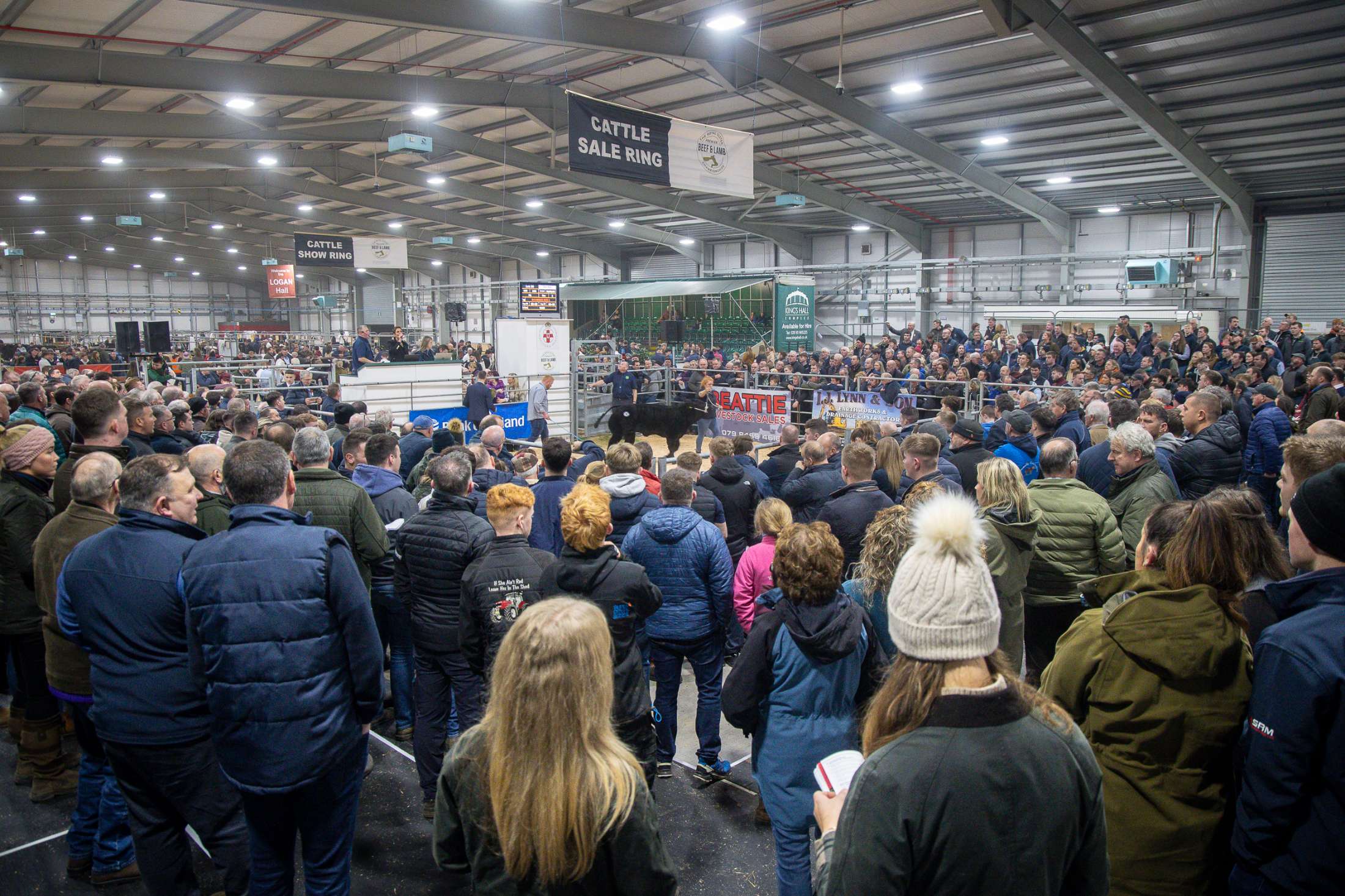 The Royal Ulster Premier Beef & Lamb Championships