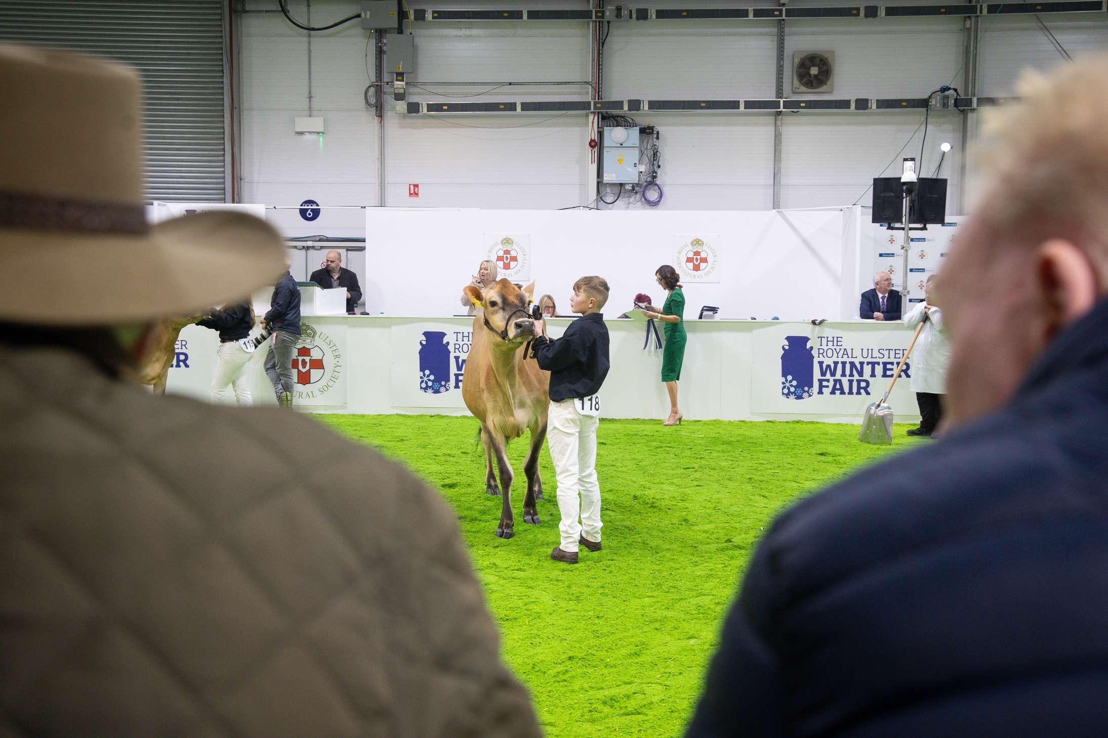 The Royal Ulster Winter Fair