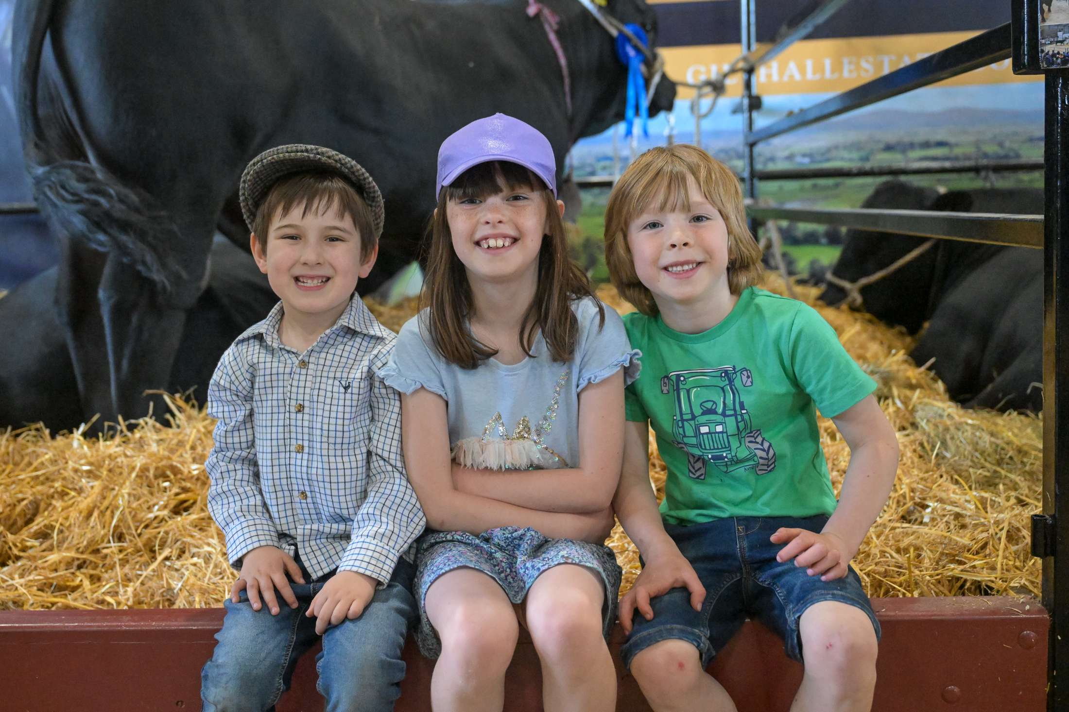promoting agriculture in northern ireland 