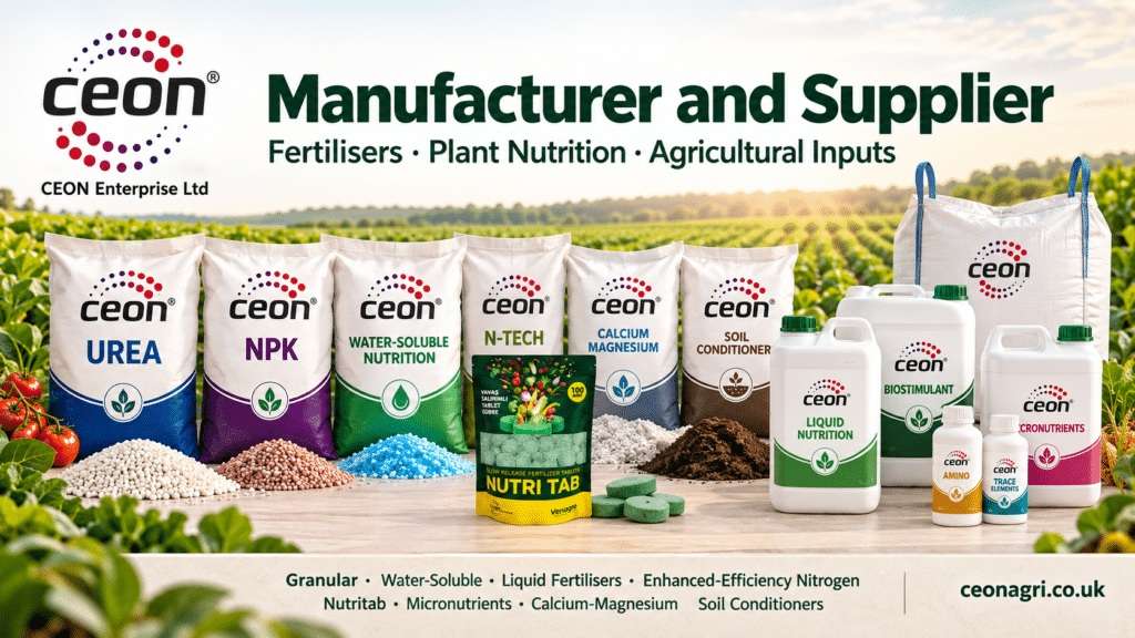 In Good Company with CEON Enterprise