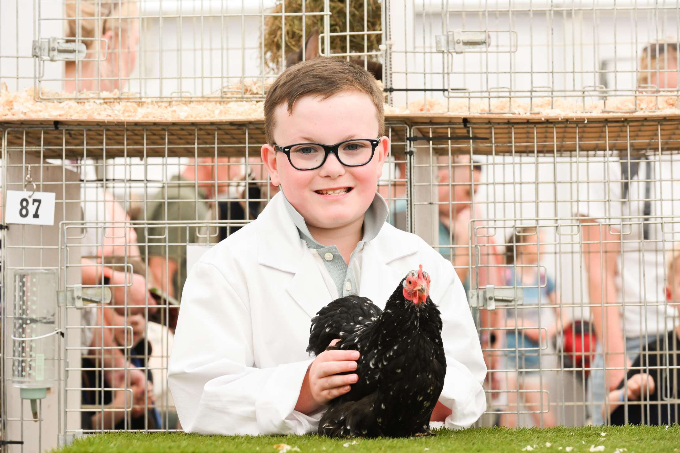 Balmoral Show 2026