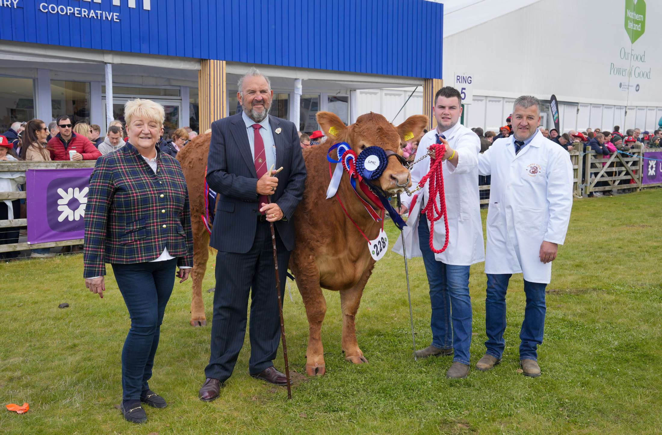BS26 Beef Champion