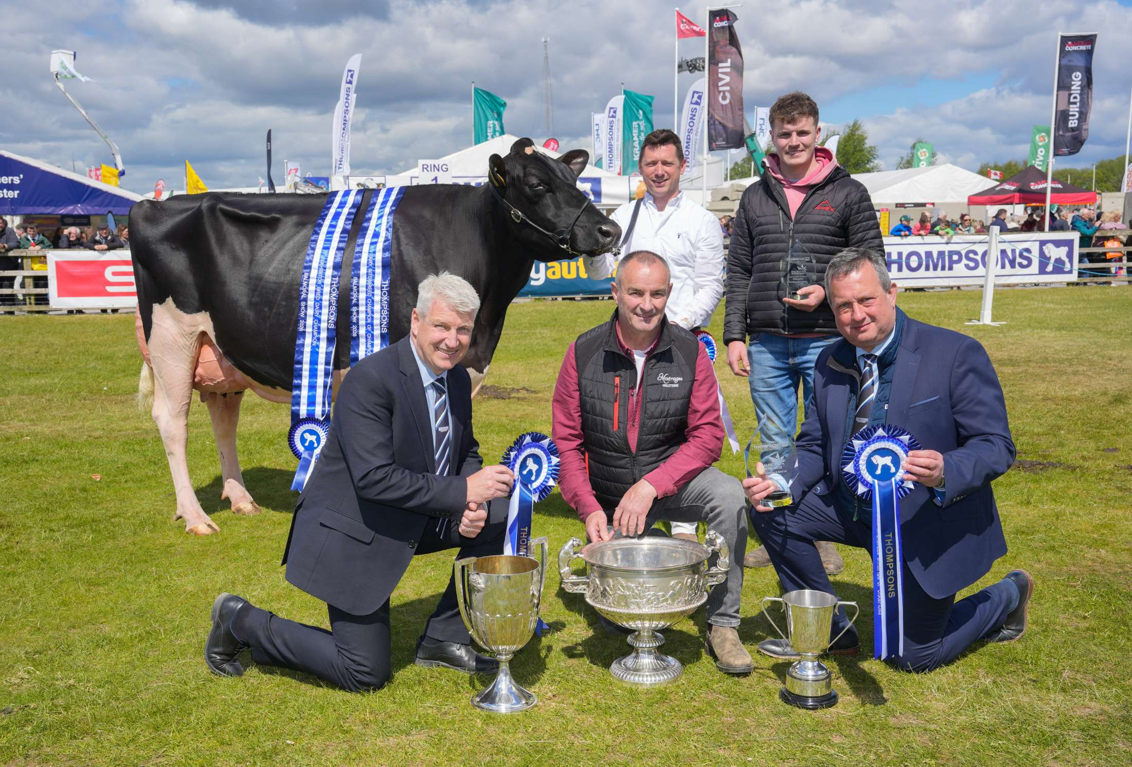 BS26 Dairy Champion