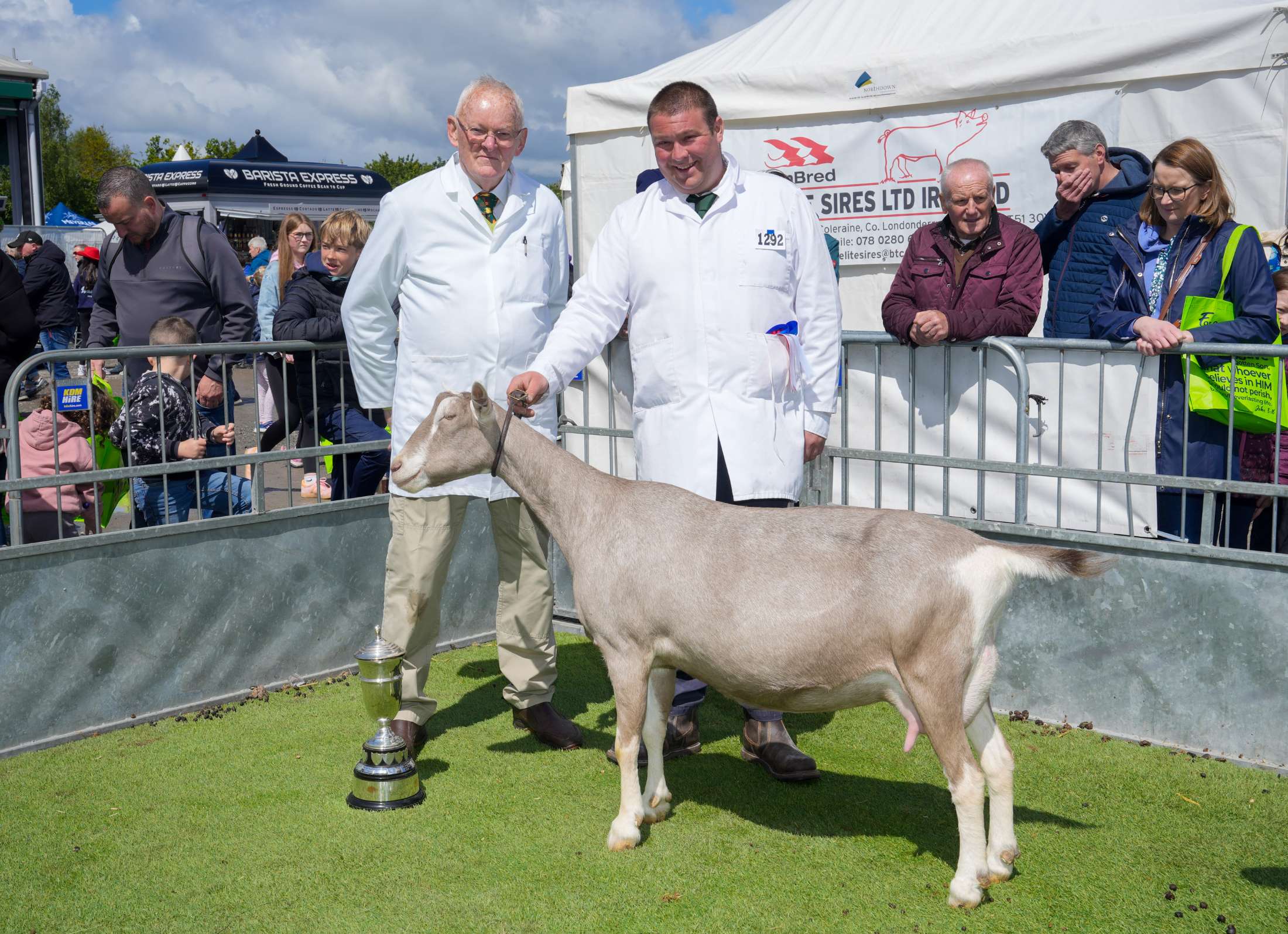 BS26 Goat Champion