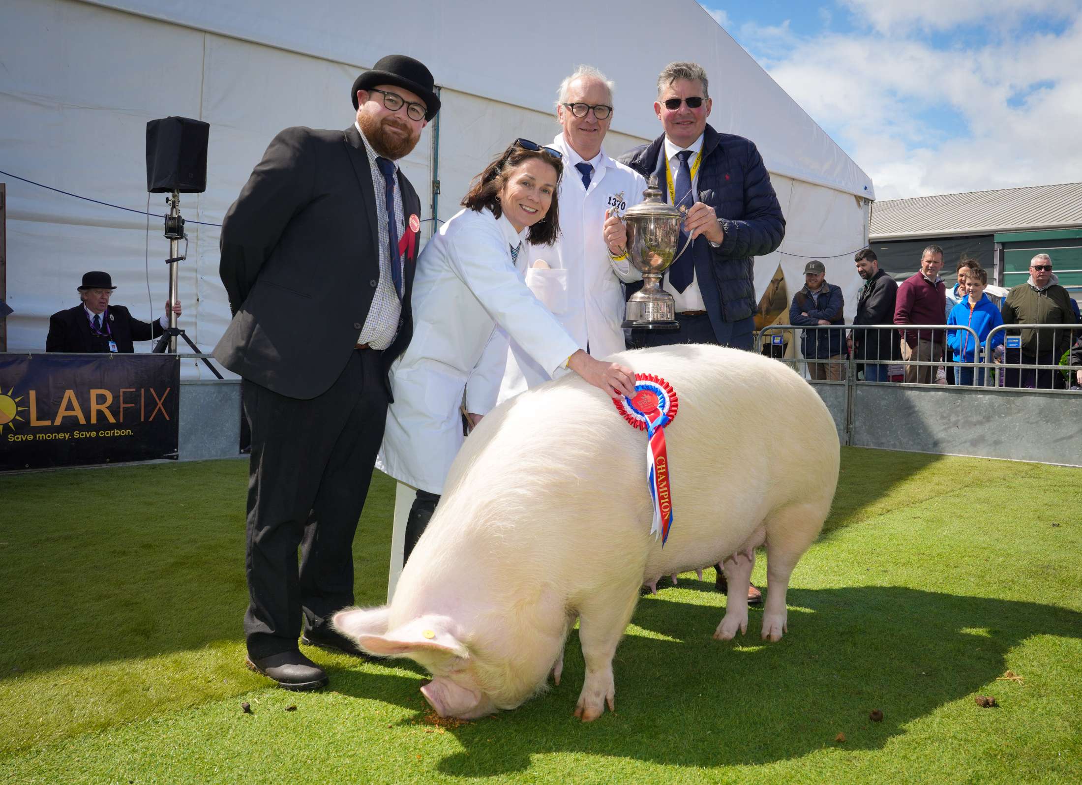 BS26 Pig Champion