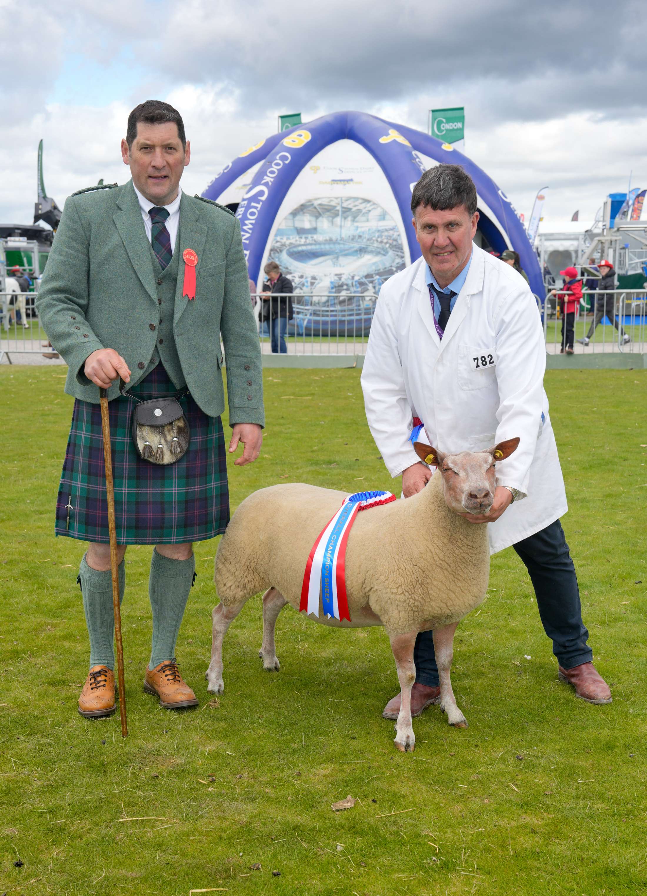 BS26 Sheep Champion