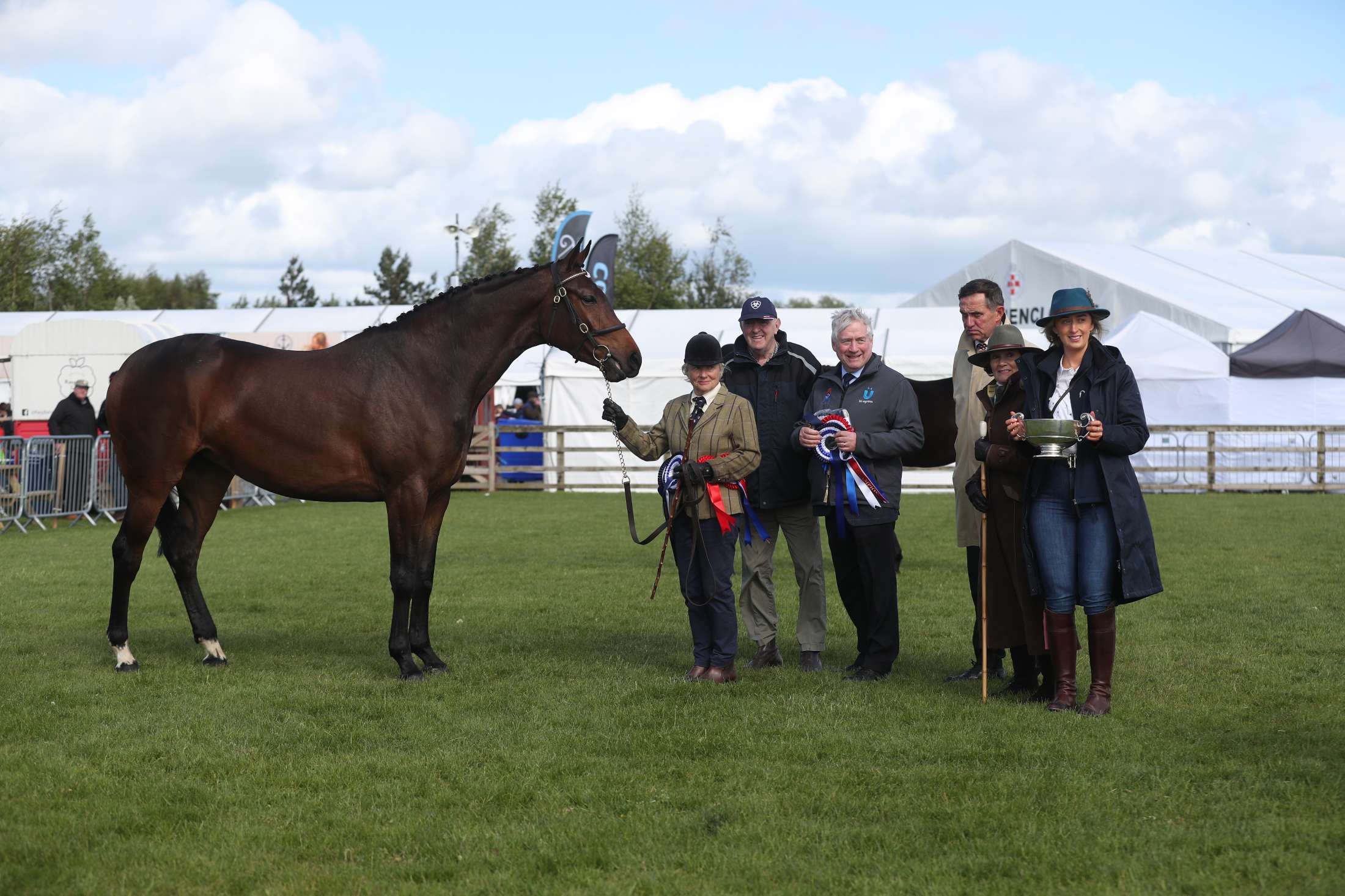 BS26 Young Stock Champion